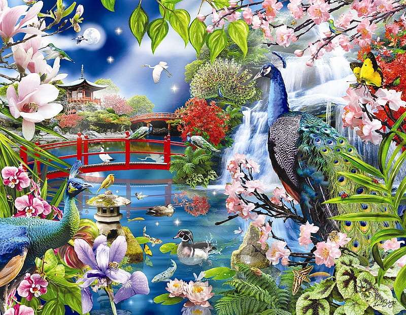 La bellezza del giardino dei pavoni, che spettacolo puzzle online