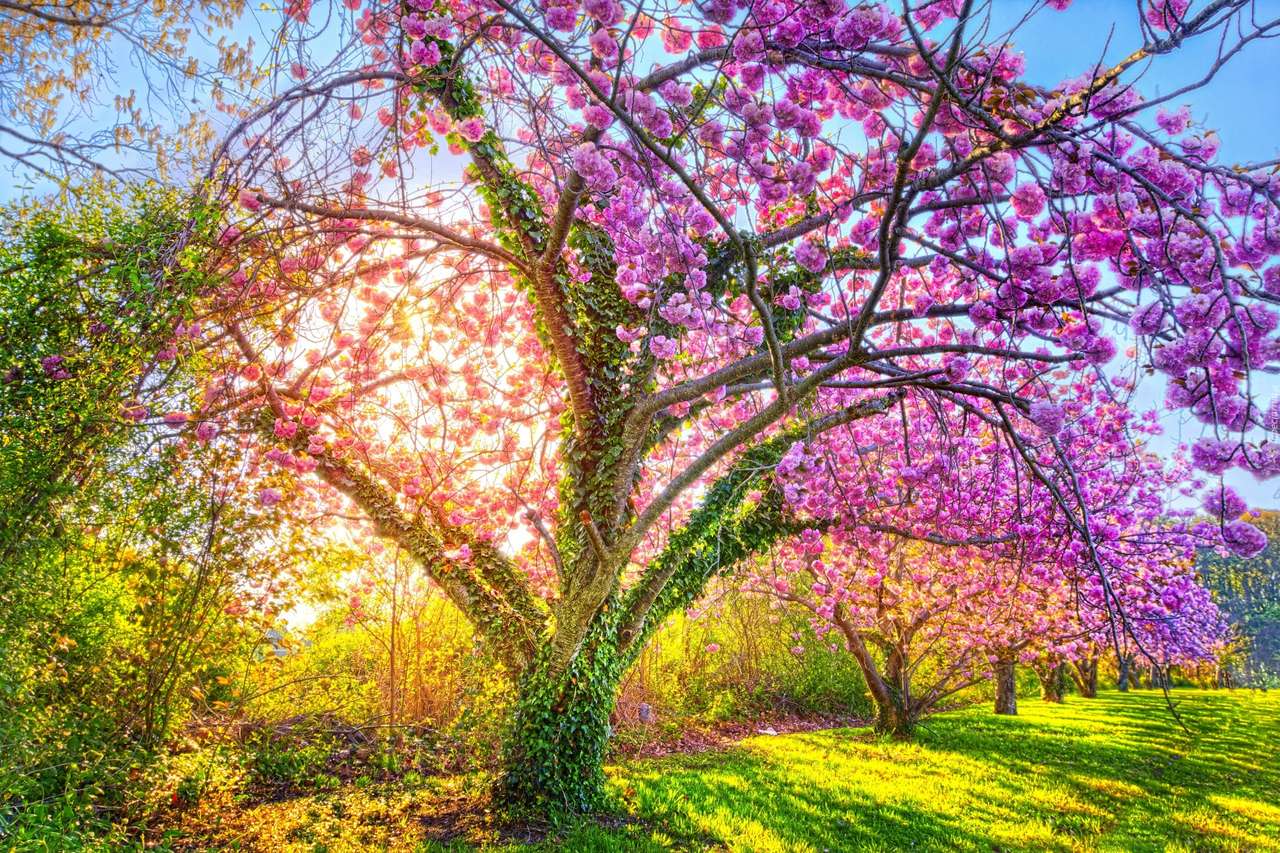 Spring Orchard jigsaw puzzle online