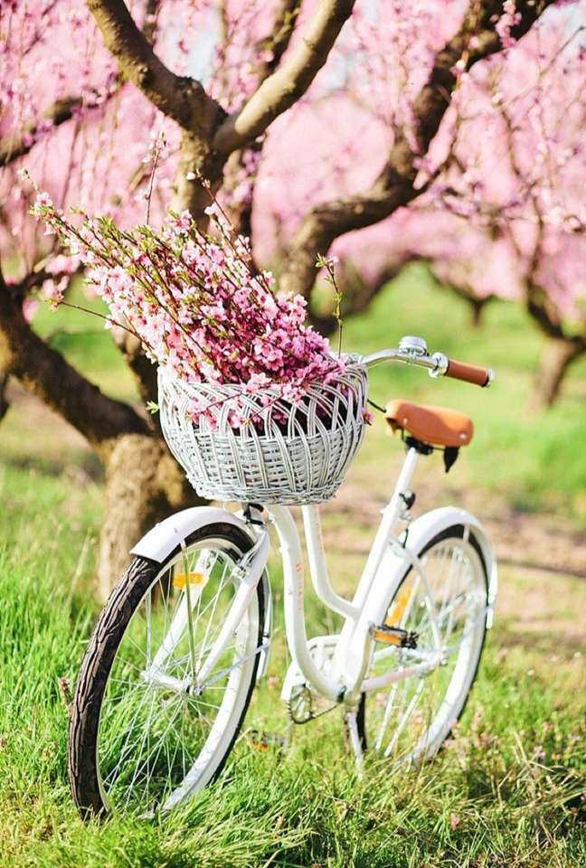 Vélo printemps puzzle en ligne