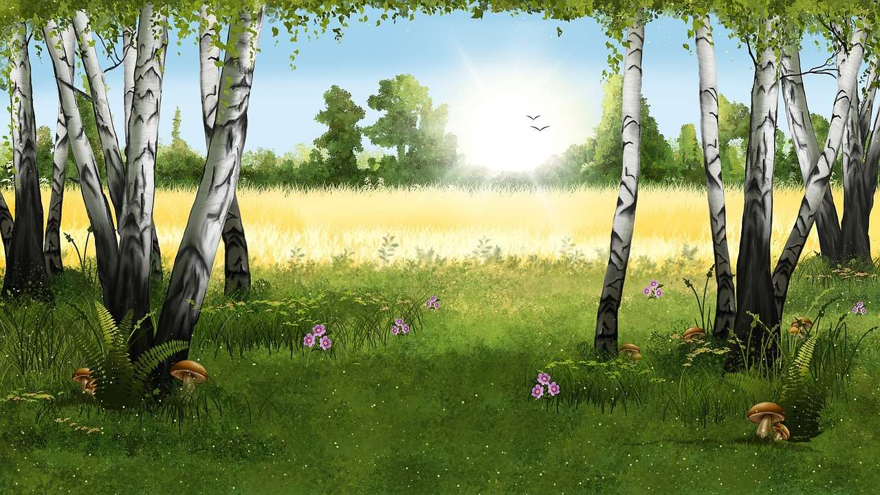 Forest Birch online puzzle