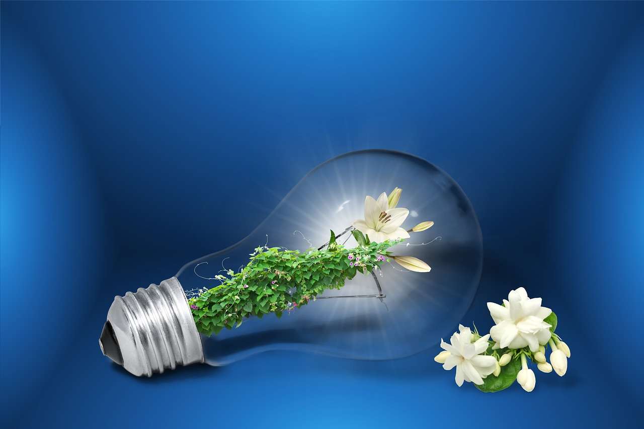 Energie Duurzaamheid legpuzzel online
