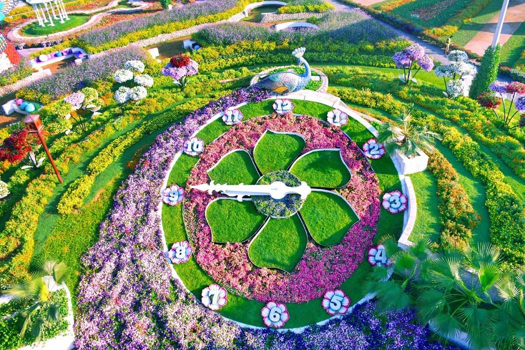 Miracle Garden - Dubai - Emiratele Arabe Unite jigsaw puzzle online