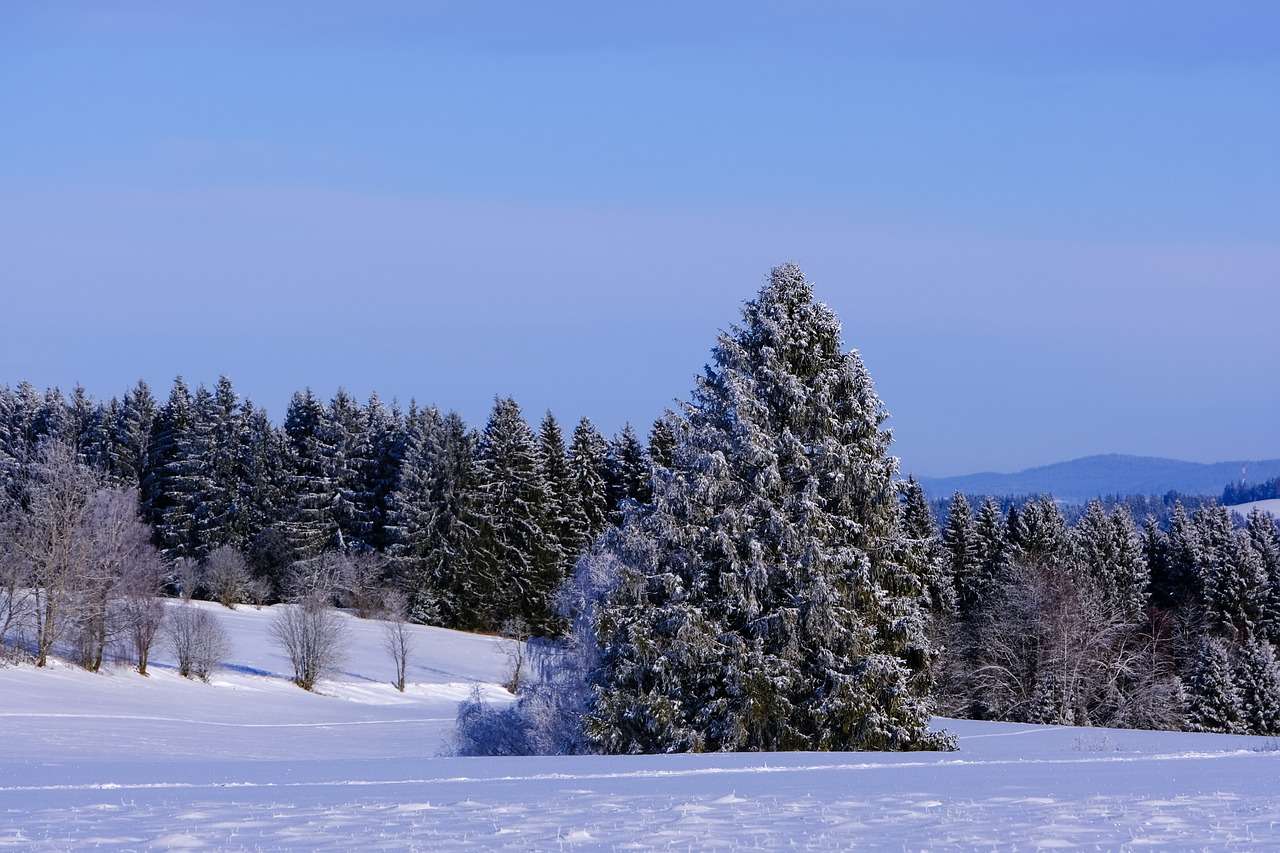 зимен пейзаж онлайн пъзел