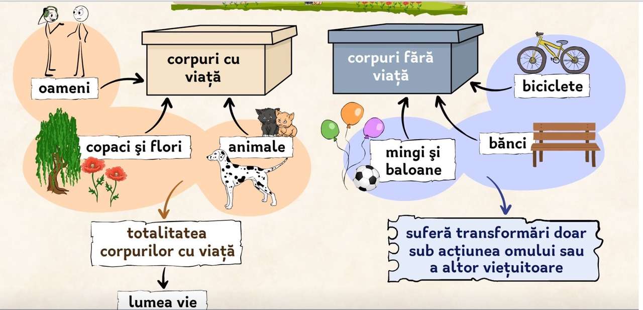 Corpi con la vita puzzle online