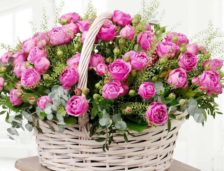 Růžový košík plný krásných růží online puzzle