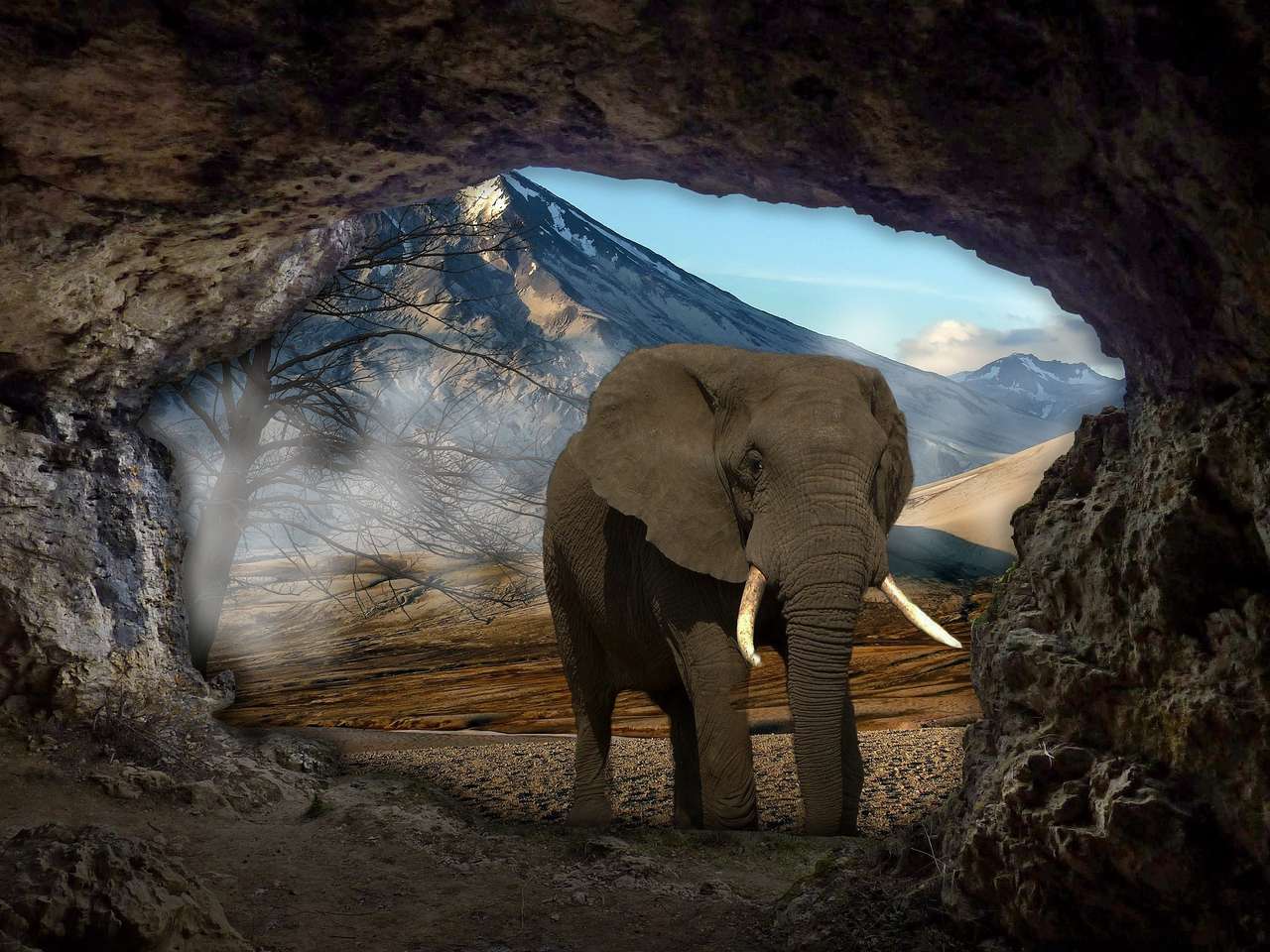 elefante en la cueva rompecabezas en línea