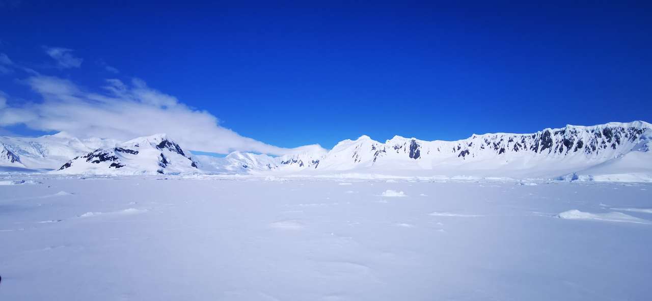 Antarktis isberg pussel på nätet