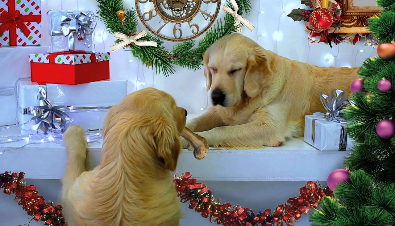 Коледни подаръци за кучета онлайн пъзел