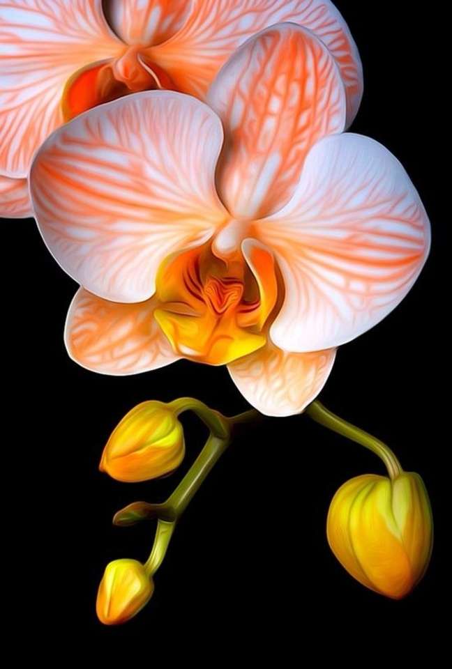 Hermosa orquídea rompecabezas en línea
