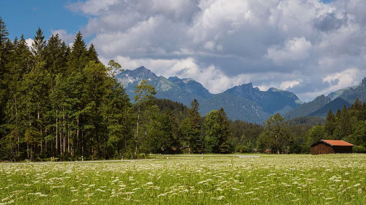 paisaje montañas rompecabezas en línea