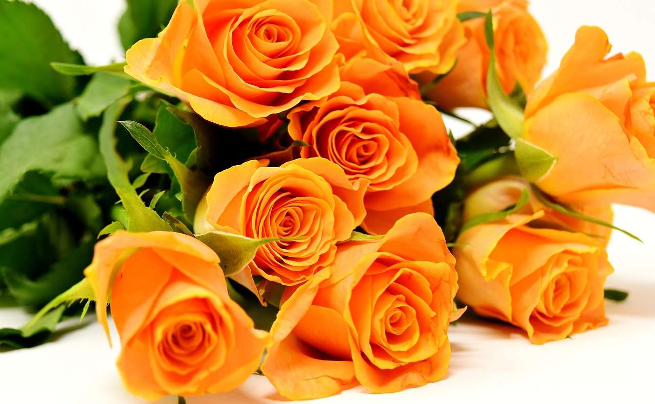 Narancssárga rózsák online puzzle