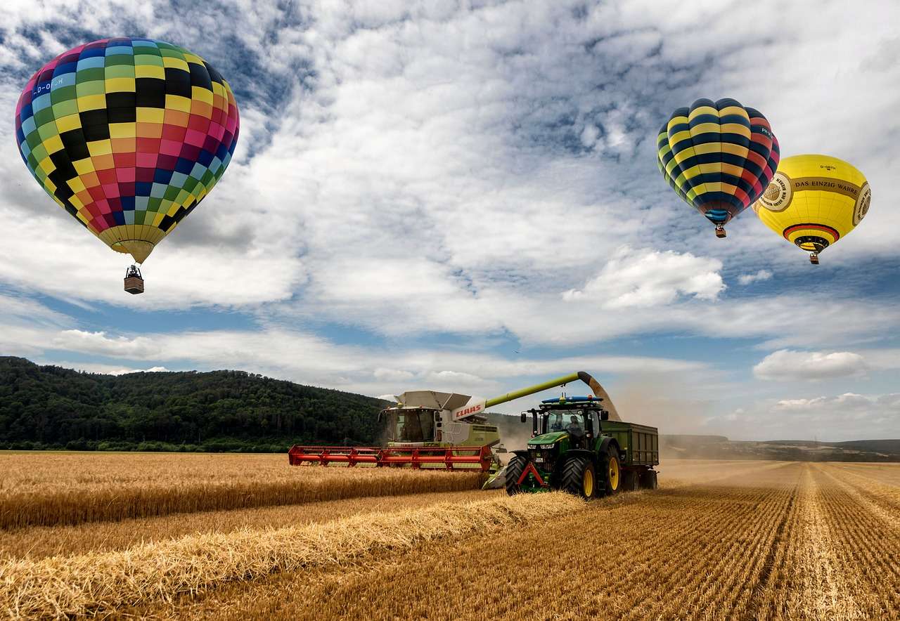 Heißluftballon-Farm Online-Puzzle