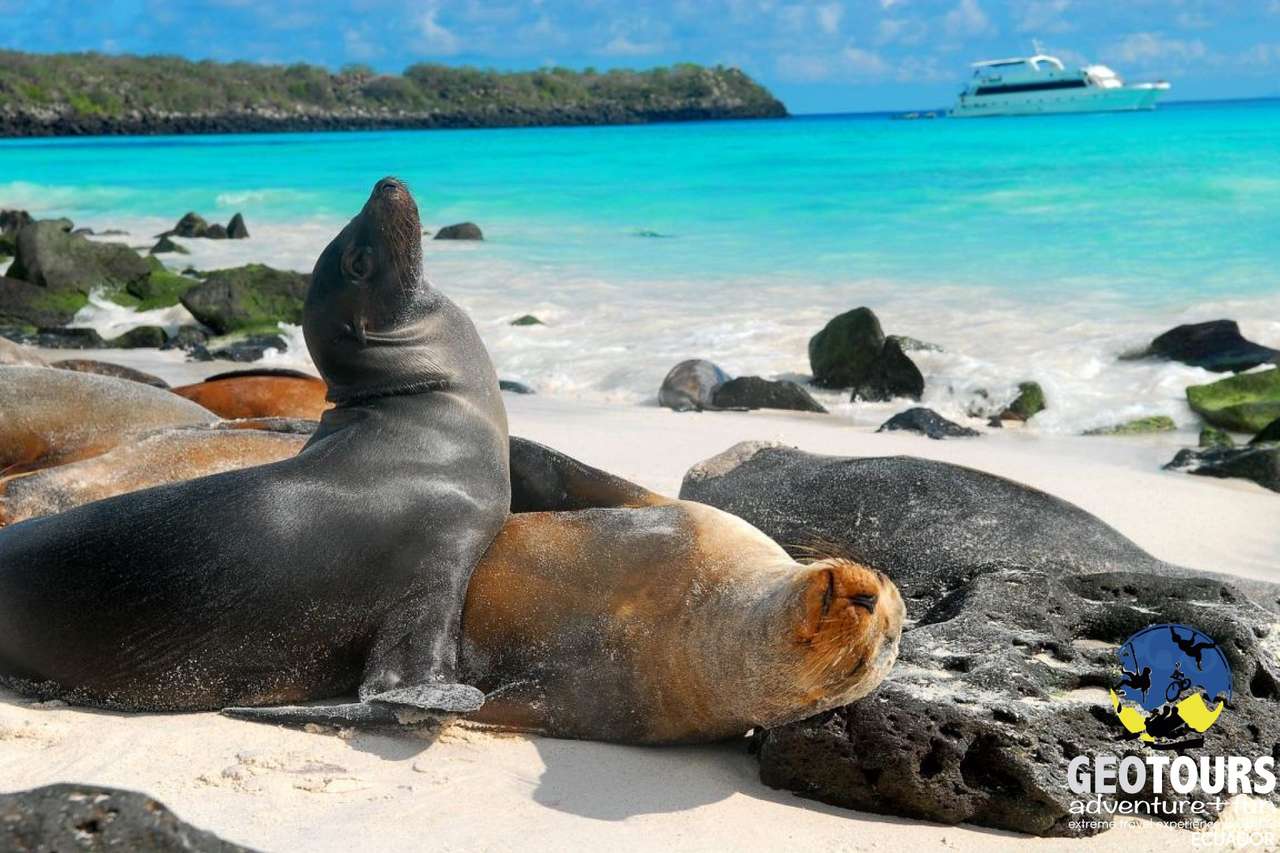 Galápagos-szigetvilág kirakós online
