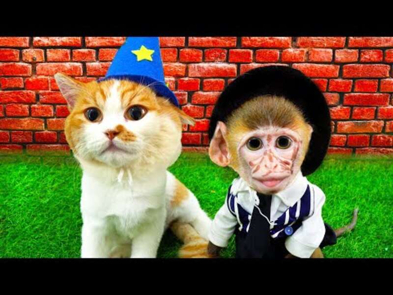 Сладка малка маймунка Биби #397 онлайн пъзел