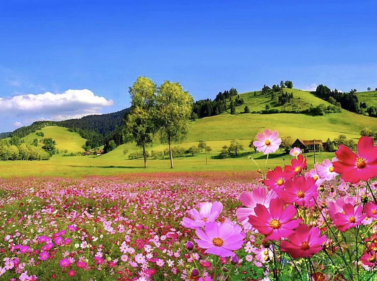 Красиви полски цветя онлайн пъзел
