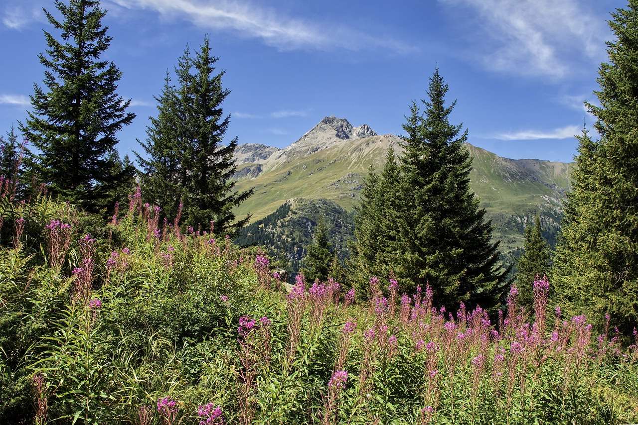 Alpská louka Švýcarsko skládačky online