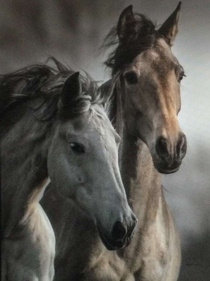 2 頭の馬 1 頭の灰色の茶色 オンラインパズル