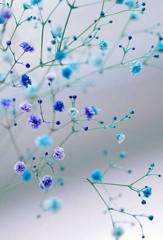 små blå blommor pussel på nätet