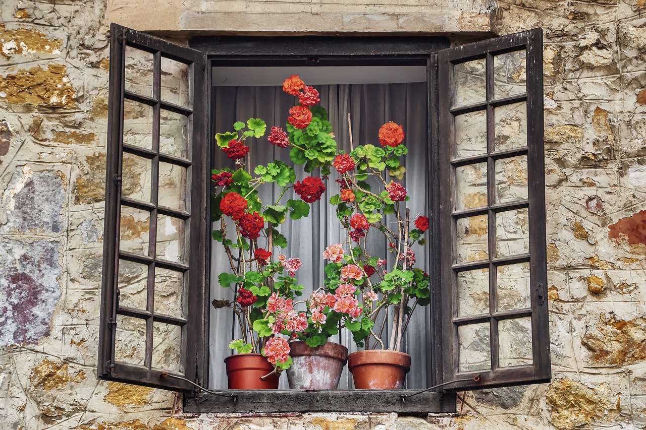 Flores en la ventana rompecabezas en línea