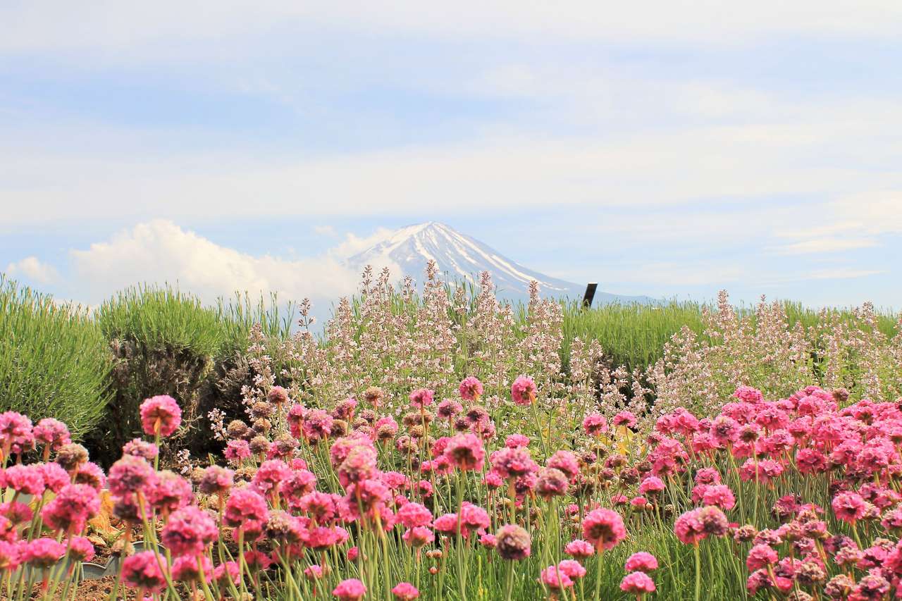 Mount Fuji онлайн пъзел