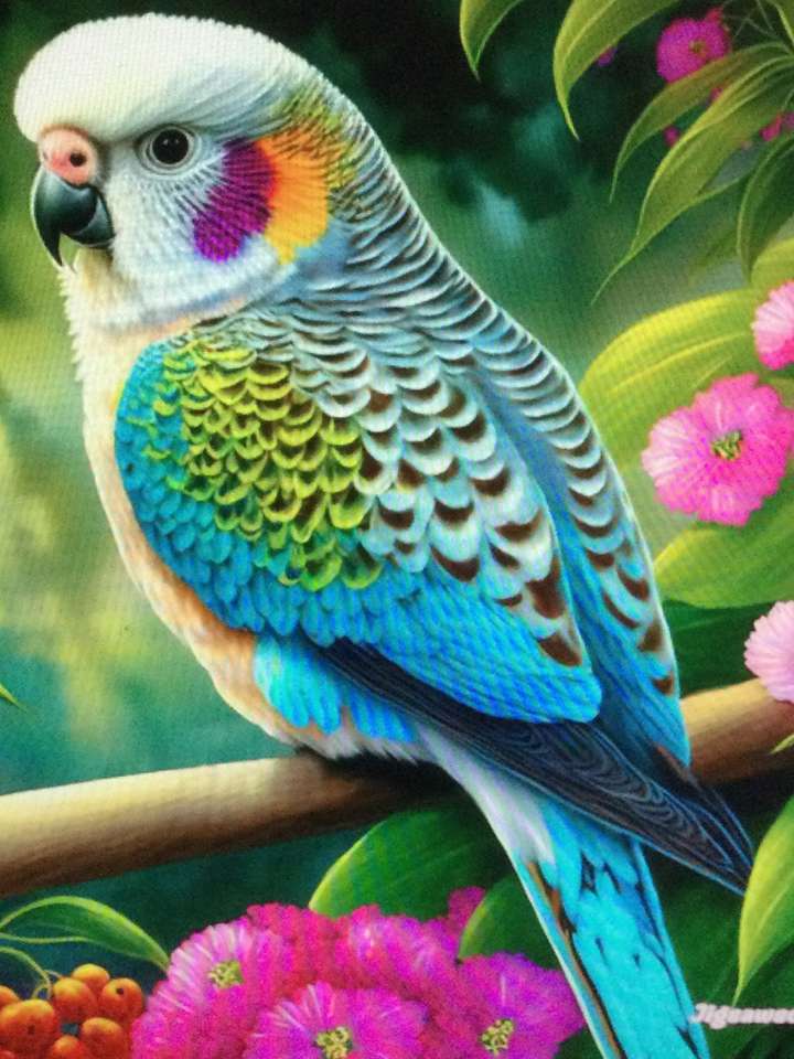 pasăre multicoloră jigsaw puzzle online