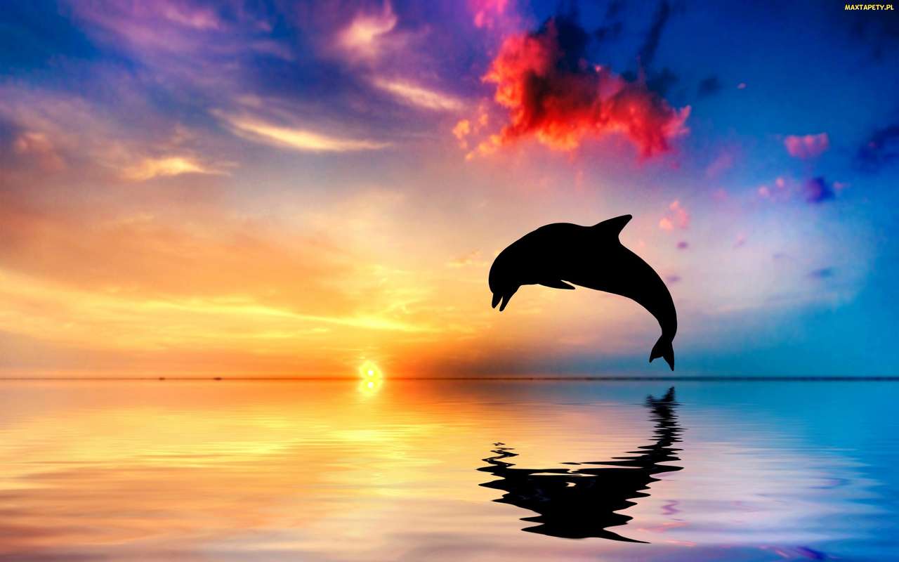 Delphin und Sonnenuntergang Puzzlespiel online