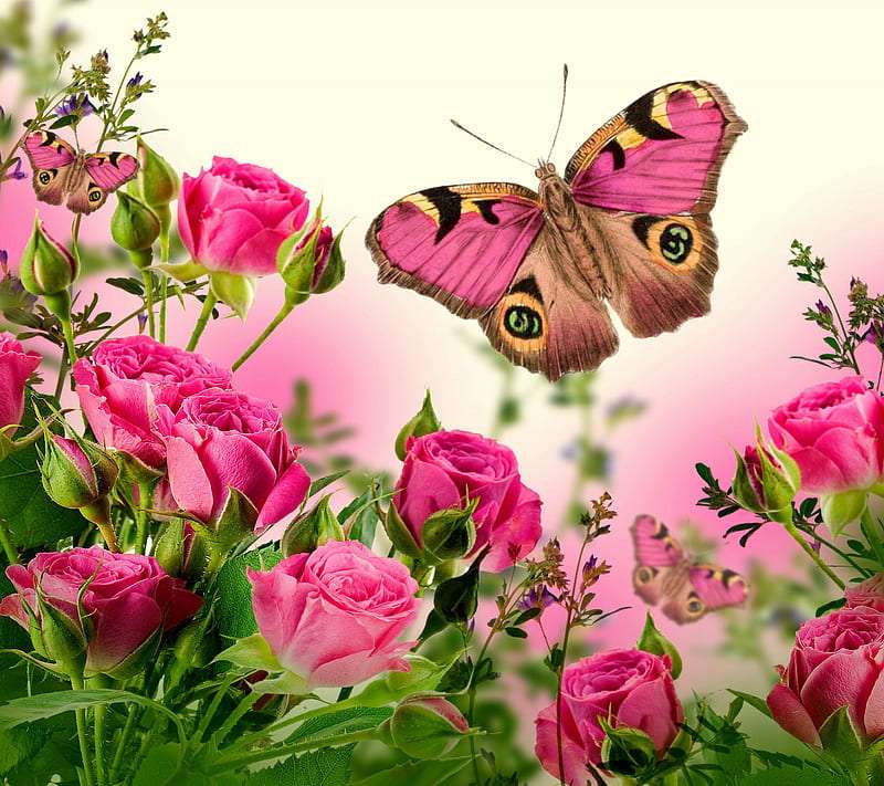 De jolies roses comme des papillons ou des papillons aussi beaux que des roses ? puzzle en ligne