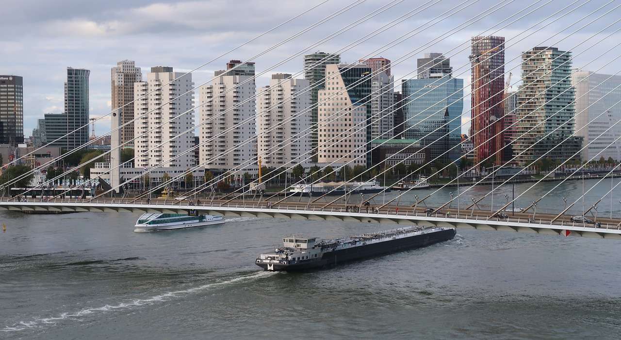 Ponte Erasmus del porto di Rotterdam puzzle online
