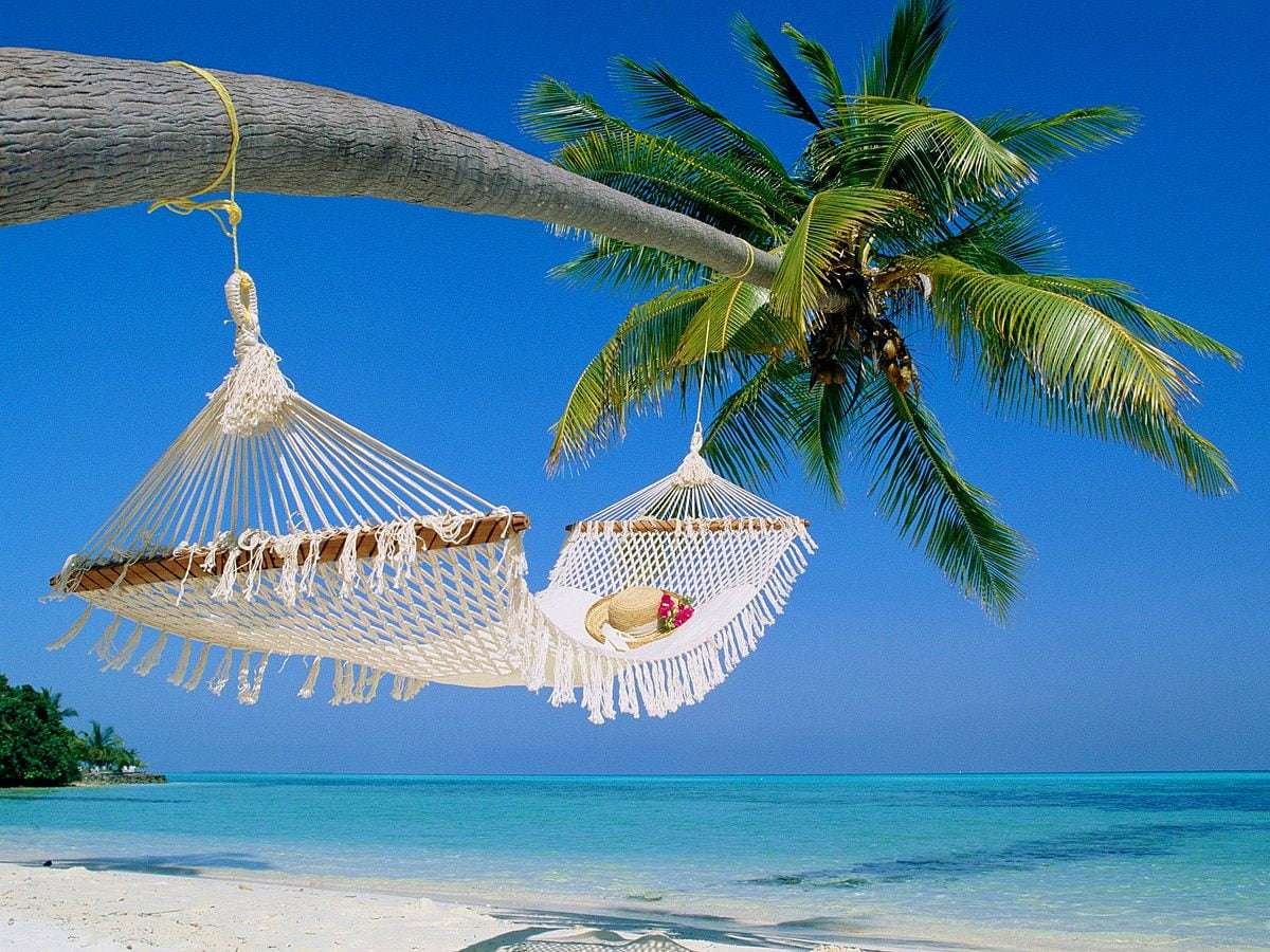 Hangmat op het strand in de tropen legpuzzel online