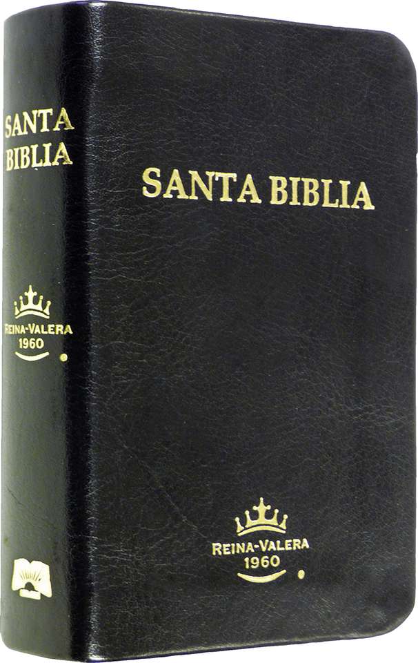 Szent Biblia kirakós online