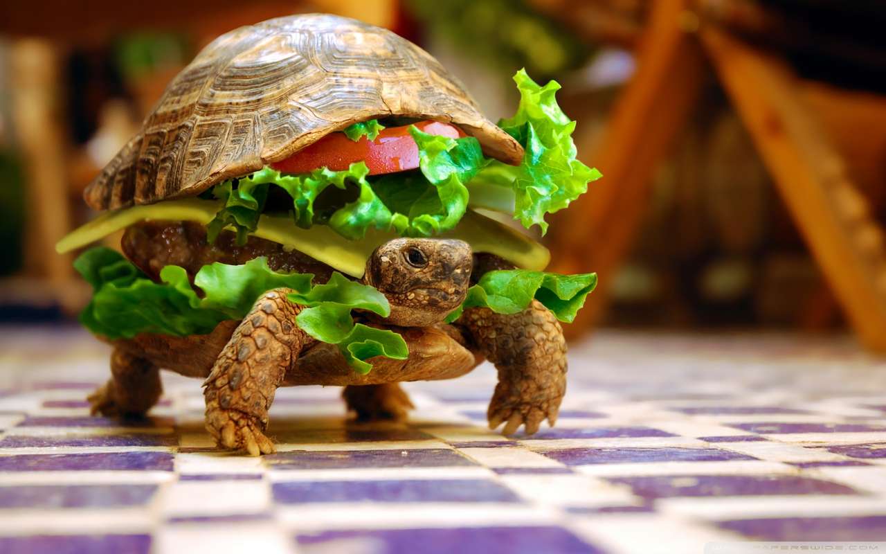 Schildkröten-Burger Online-Puzzle
