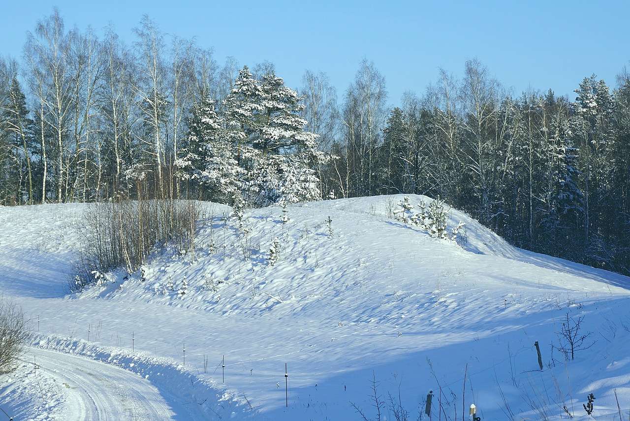 Снежна зима онлайн пъзел