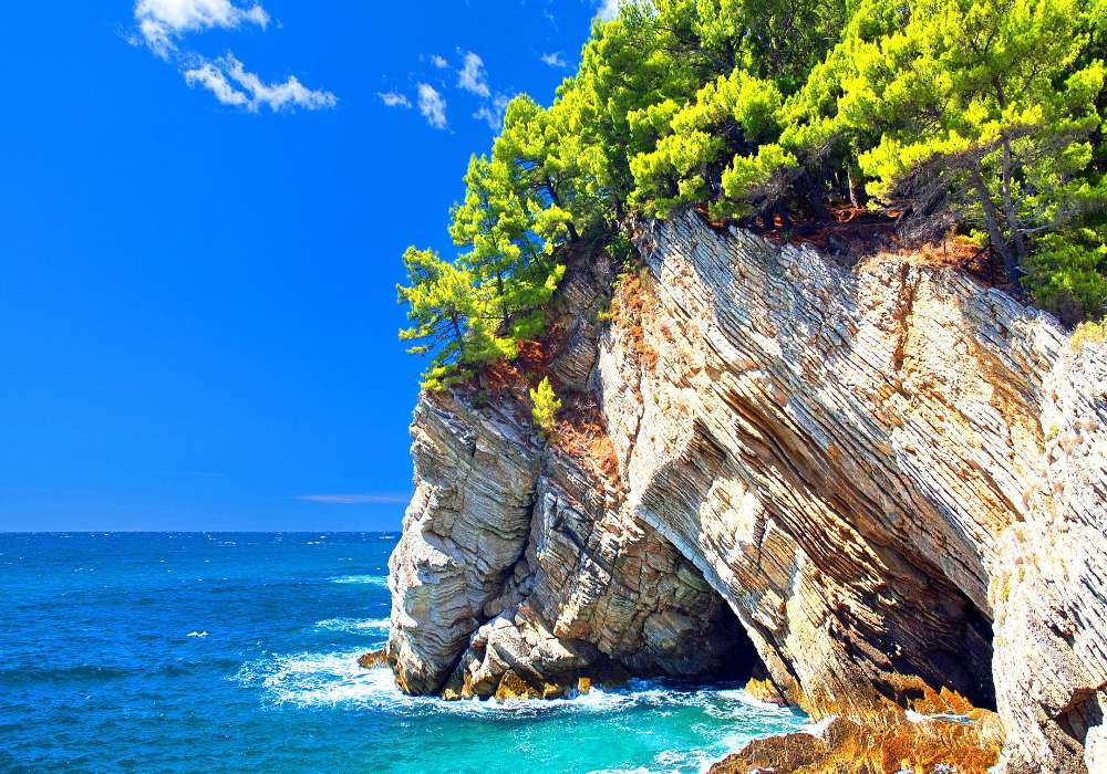 What a view - leafy forest on a rock online puzzle