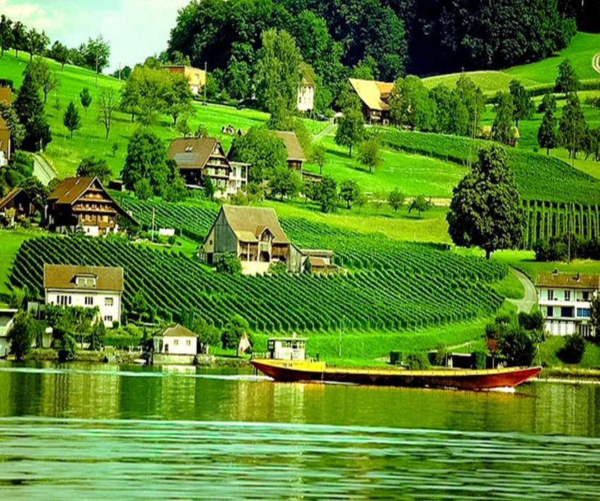 En grön liten by vid floden med vingårdar pussel på nätet