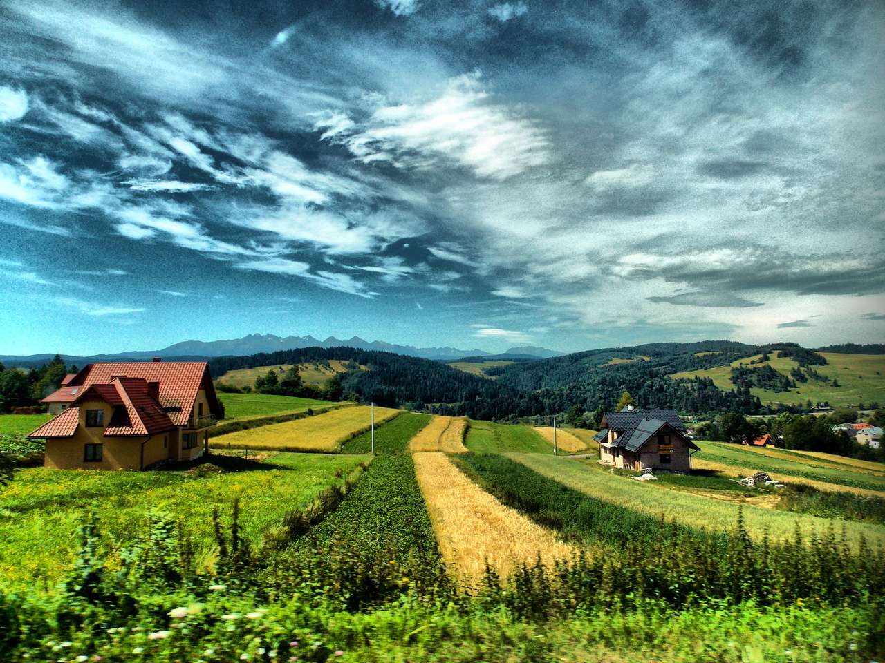 Polish countryside, field and village jigsaw puzzle online