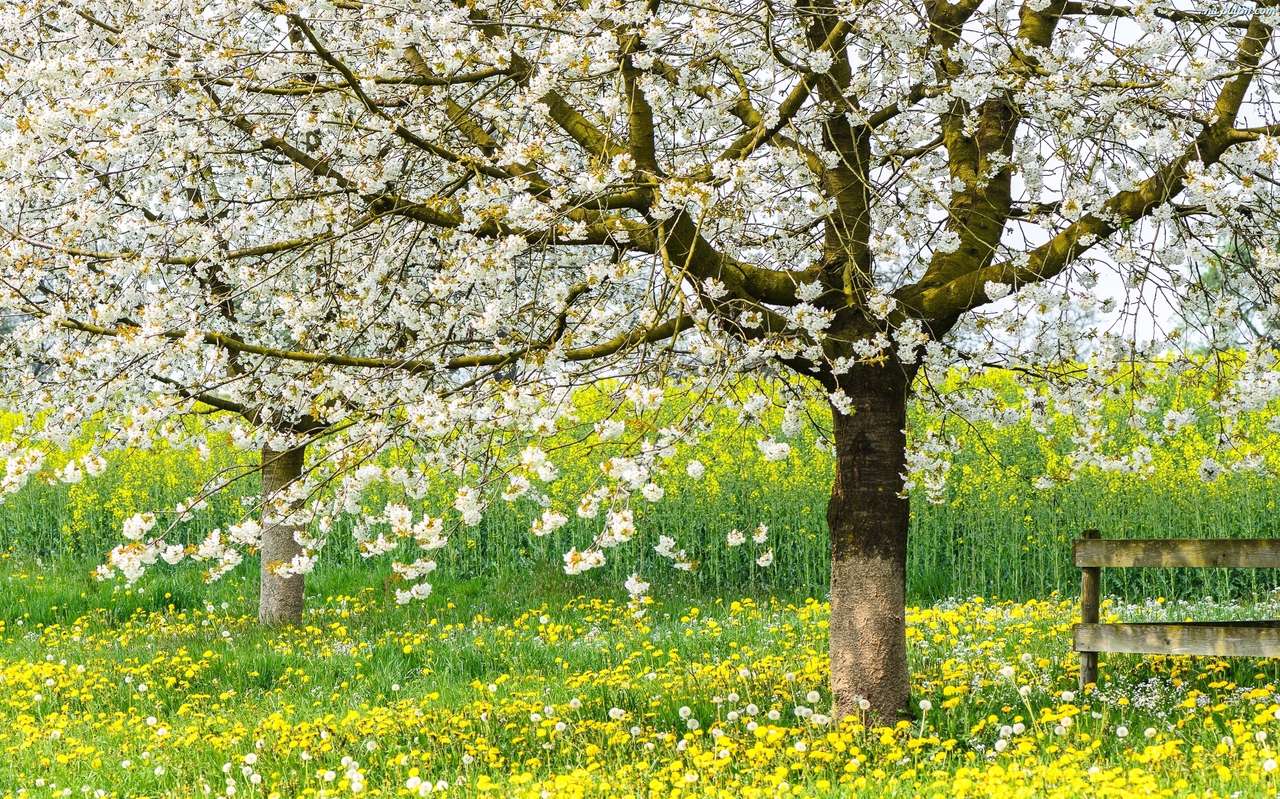 Arbore de primăvară puzzle online