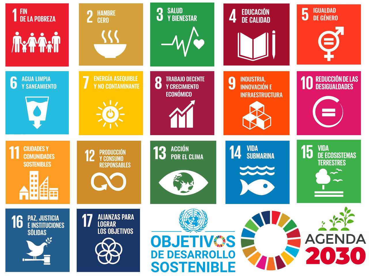 THE 17 SDGs jigsaw puzzle online