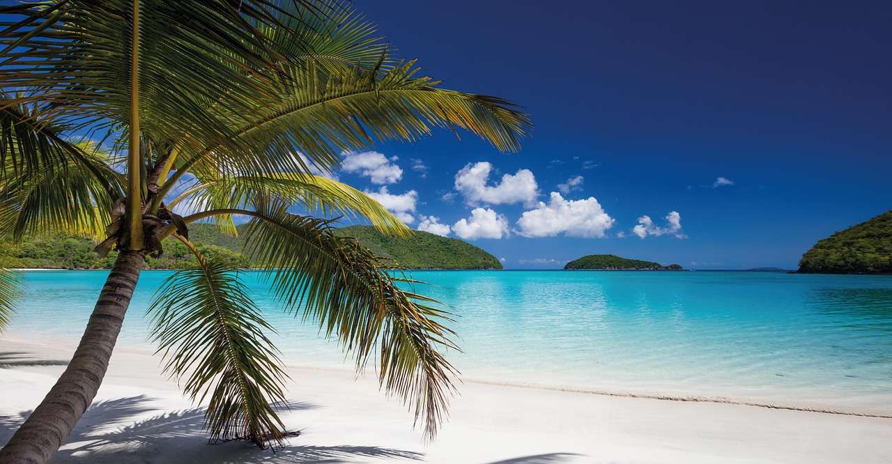 Тропически плаж онлайн пъзел