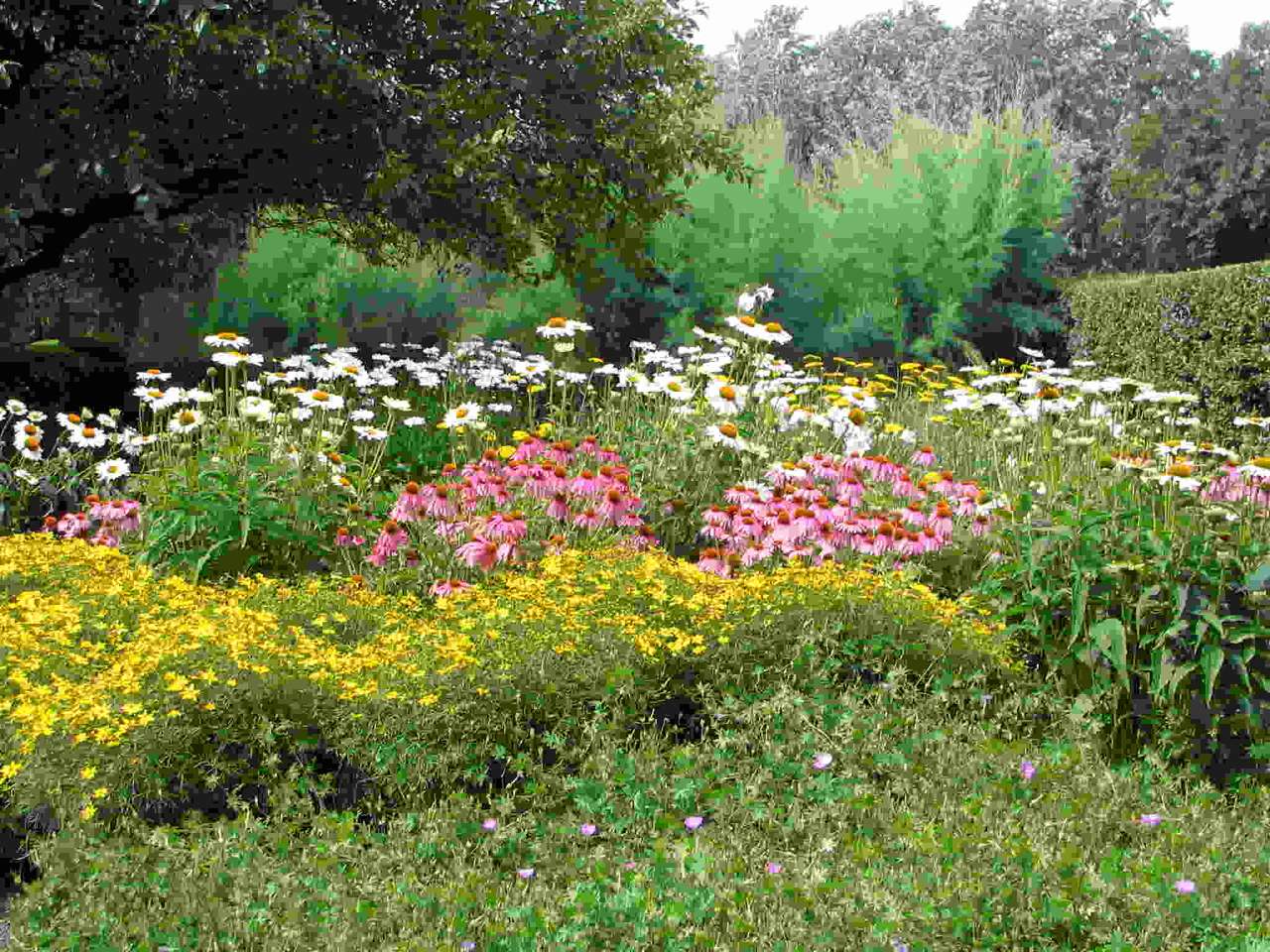 Prairie pleine de fleurs de la nature, vue charmante puzzle en ligne