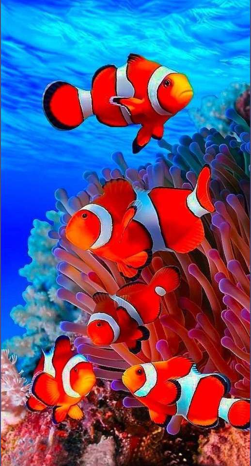 Pesce - Nemo puzzle online