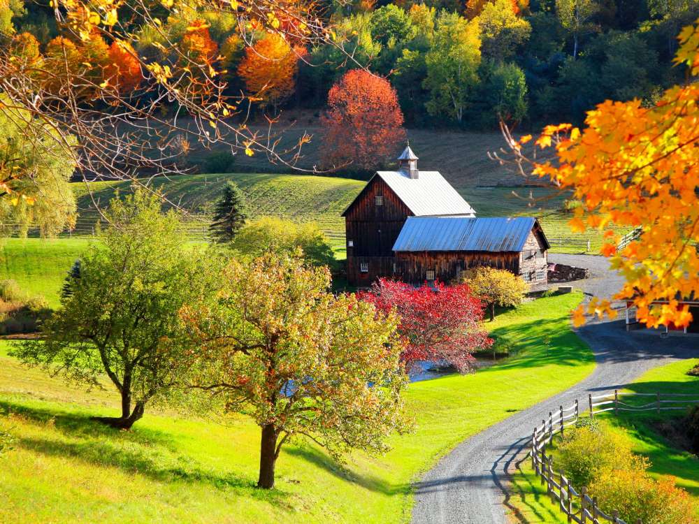 Cottage at the crossroads of the road in autumn online puzzle