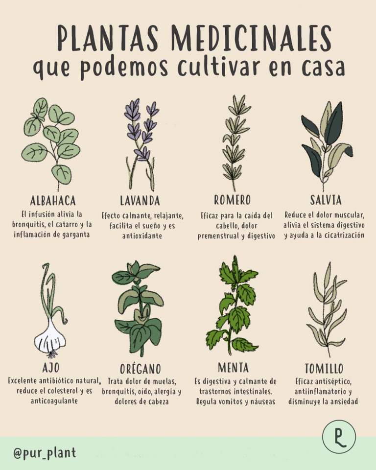 Medicinal plants online puzzle