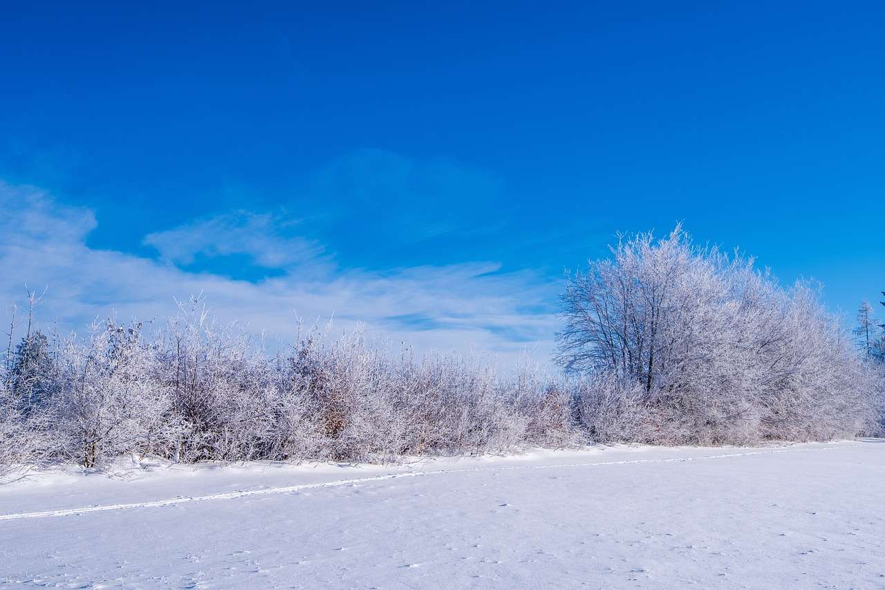 Schneebedeckt Online-Puzzle