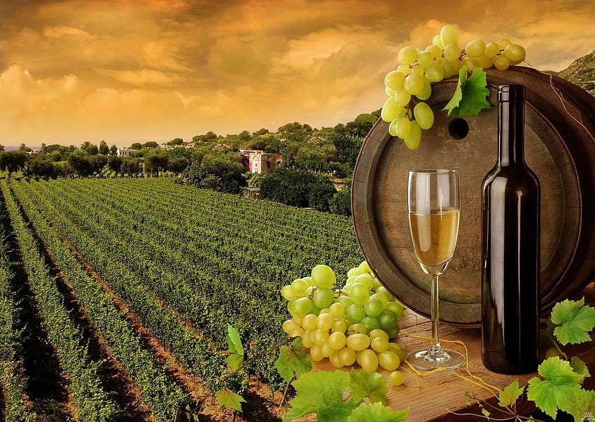 ワインカントリーのブドウの木、樽の中のワイン、なんて光景 ジグソーパズルオンライン