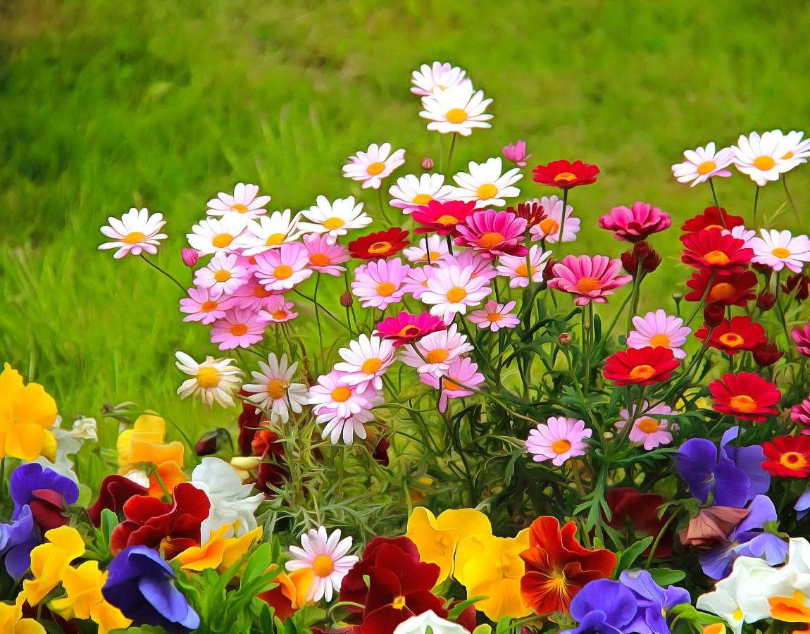 Όμορφα πολύχρωμα λουλούδια κήπου παζλ online