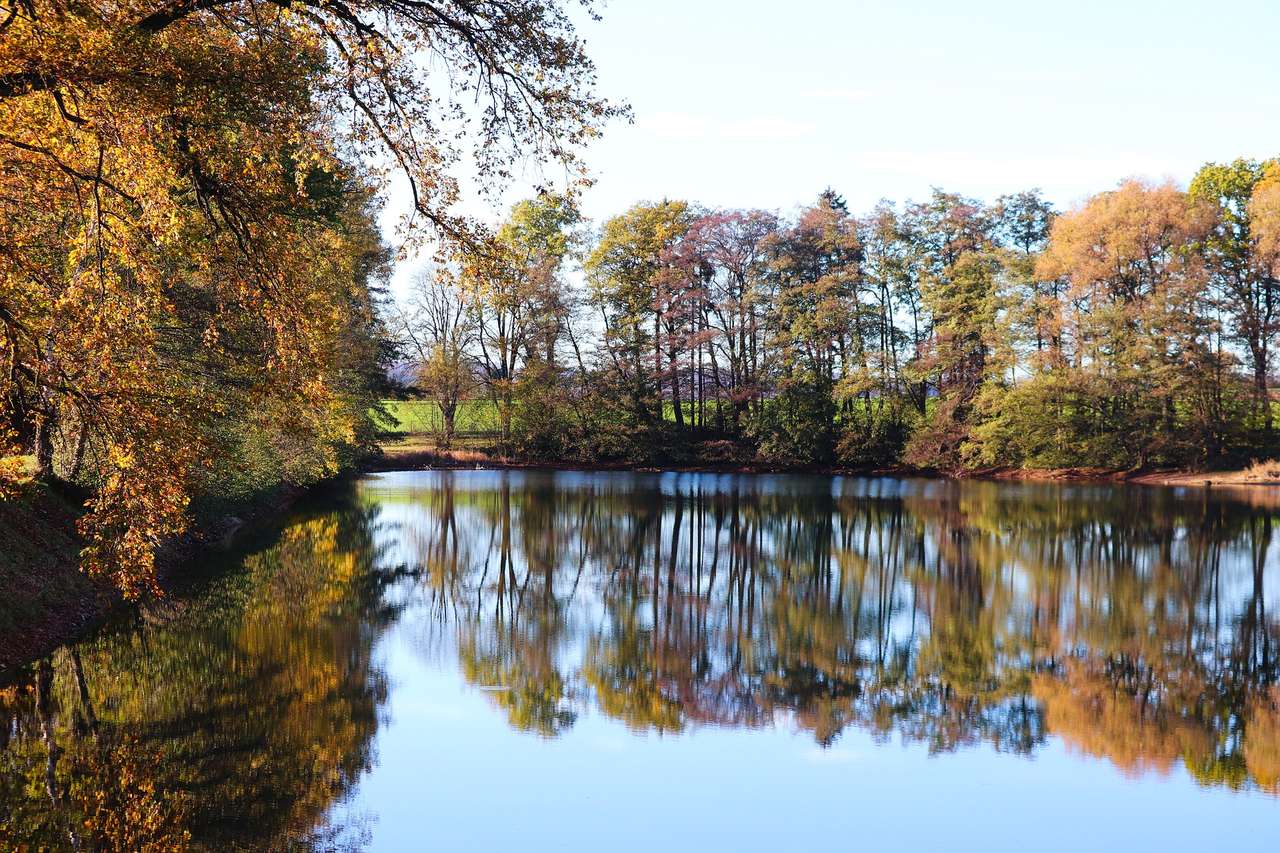 Bäume am Wasser Online-Puzzle