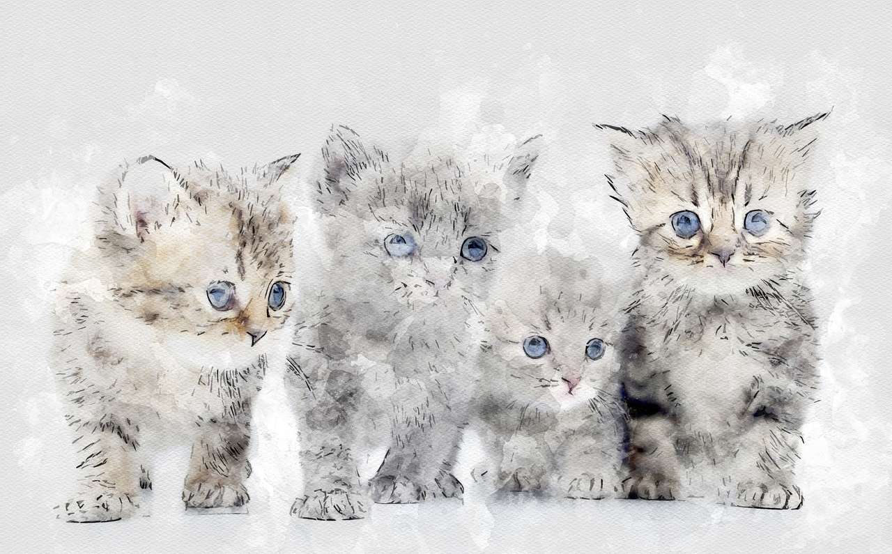 Aranyos cicák kirakós online