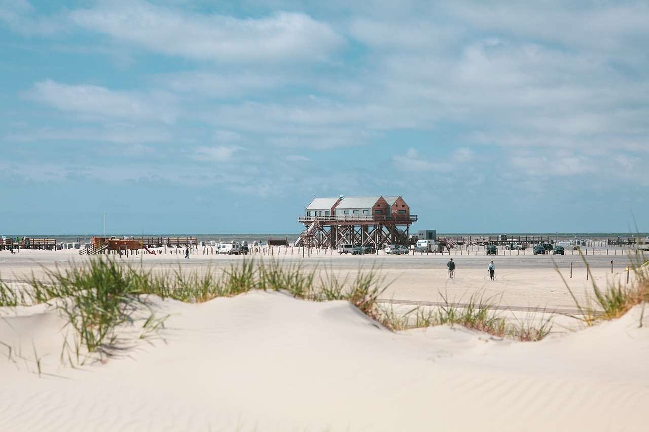 Пляжные песчаные дюны пазл онлайн