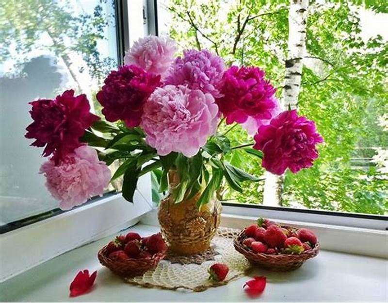 Peonies on the windowsill online puzzle