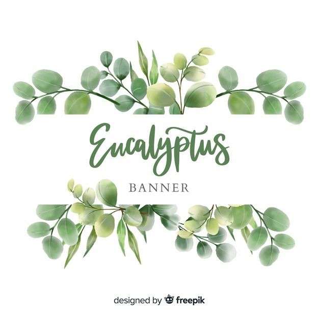 eukalyptus Pussel online